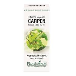 Extract muguri carpen x 50ml (PLX)