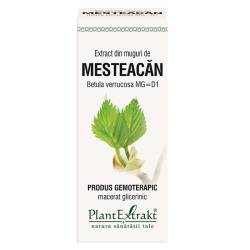 Extract muguri mesteacan pufos 50ml(PLX)