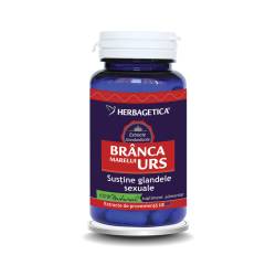 Branca marelui urs x 60cps (Herbagetica)