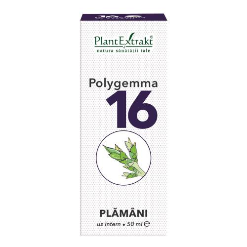 Polygemma 16, Plamani, 50 ml, Plant Extrakt