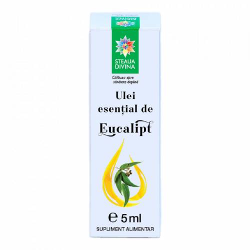 Ulei esential de eucalipt, 5ml, Steaua Divina