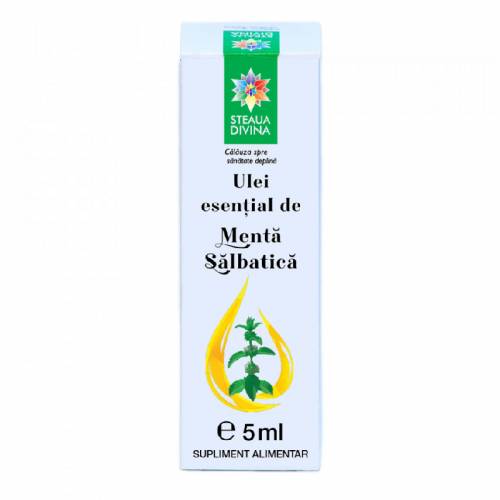 Ulei esential de menta salbatica, 5ml, Steaua Divina
