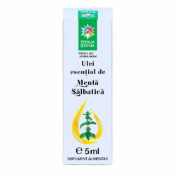 Ulei esential de menta salbatica, 5ml, Steaua Divina