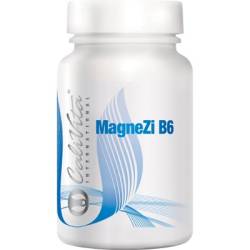 MagneZi B6 90 tablete