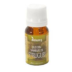 Uleiul din samburi de struguri bio 10 ml