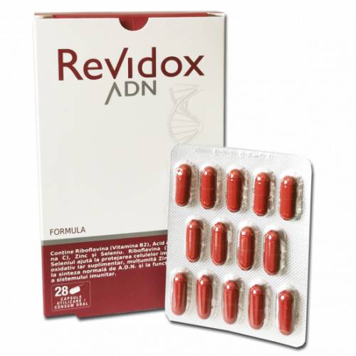 Revidox ADN, 28 capsule, Actafarma