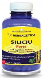 Siliciu Forte, 120 capsule, Herbagetica
