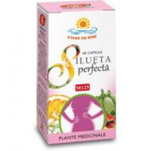 Silueta perfecta m125 60cps FARES