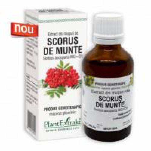 Extract din muguri de scorus de munte 50ml PLANTEXTRAKT