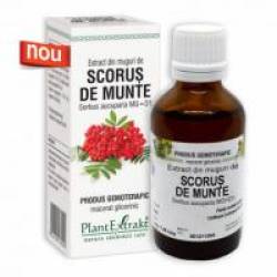 Extract din muguri de scorus de munte 50ml PLANTEXTRAKT