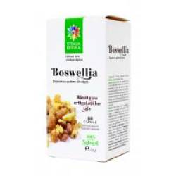 Boswellia 60cps STEAUA DIVINA