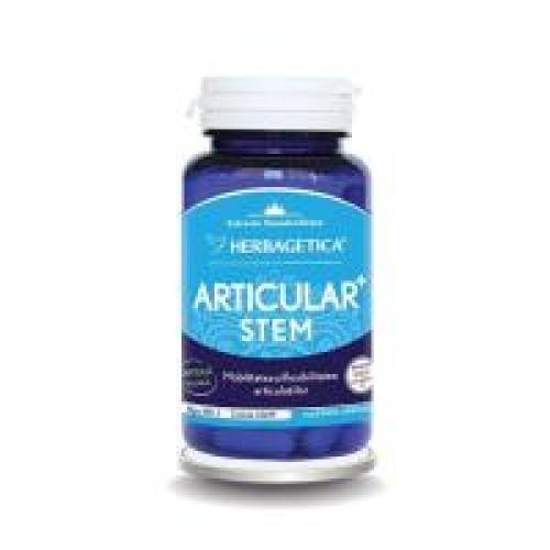 Articular+ stem  60cps HERBAGETICA