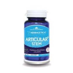 Articular+ stem  60cps HERBAGETICA