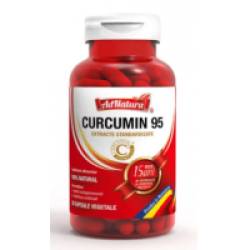 Curcumin 95  30cps ADNATURA