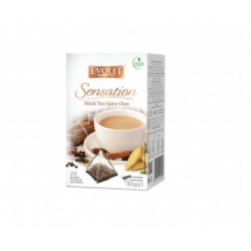 Ceai blak tea spicy chai 20plicuri EVOLET