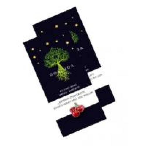 Ciocolata vegana govinda cu visine si polen-fara zahar 100gr GOVINDA