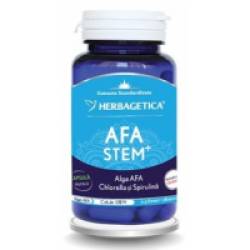 Afa stem+  60cps HERBAGETICA
