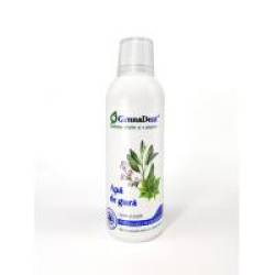 Apa de gura cu salvie si argila 500ml VIVA NATURA