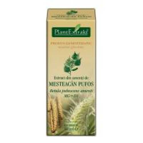 Extract din amenti de mesteacan pufos - betula pubescens amenti mg=d1 50ml PLANTEXTRAKT