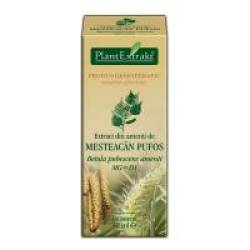 Extract din amenti de mesteacan pufos - betula pubescens amenti mg=d1 50ml PLANTEXTRAKT