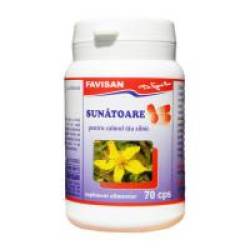 Sunatoare b041 70cps FAVISAN