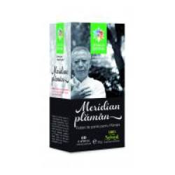 Meridian plaman 60cps STEAUA DIVINA