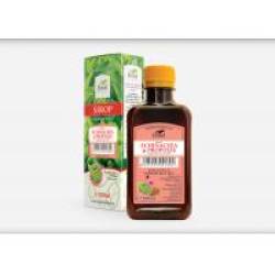 Sirop de echinacea si propolis 500ml DOREL PLANT
