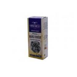 Tinctura din branca ursului  200ml NATURA PLANT POIENI