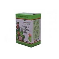 Ceai prostata si vezica urinara  100gr NATURA PLANT POIENI