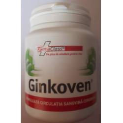 Ginkoven 120cps FARMACLASS