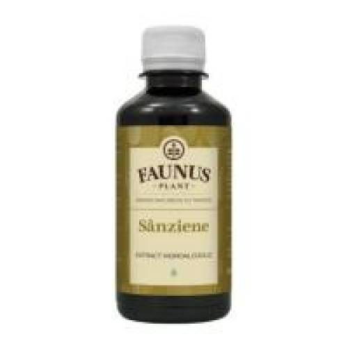 Tinctura sanziene 200ml FAUNUS PLANT