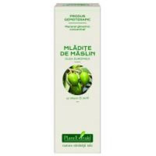 Extract concentrat din mladite de maslin - olea europaea mg 15ml PLANTEXTRAKT