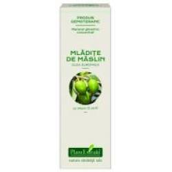 Extract concentrat din mladite de maslin - olea europaea mg 15ml PLANTEXTRAKT