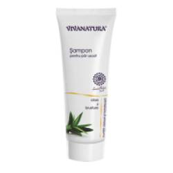 Sampon pentru par uscat cu aloe si brusture 250ml VIVA NATURA