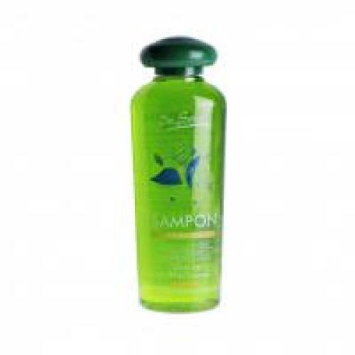 Sampon impotriva caderii parului cu mesteacan si urzica 250ml DR SOLEIL