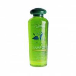 Sampon impotriva caderii parului cu mesteacan si urzica 250ml DR SOLEIL
