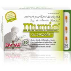Extract purificat de rasina mumie cu propolis-capsule 30cps DAMAR
