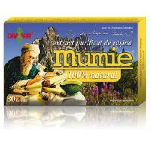 Extract de rasina mumie 100% natural-tablete 30tbl DAMAR
