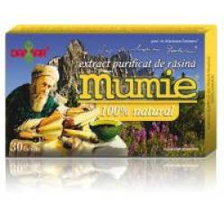 Extract de rasina mumie 100% natural-tablete 30tbl DAMAR