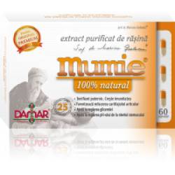 Extract purificat de rasina mumie  100% natural-capsule 60cps DAMAR