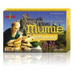 Extract de rasina mumie 100% natural-tablete 60tbl DAMAR