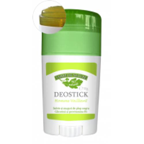 Deostick homme vaillant cu salvie, muguri de plop si glicerina 50gr VERRE DE NATURE