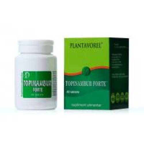 Topinambur 40tbl PLANTAVOREL