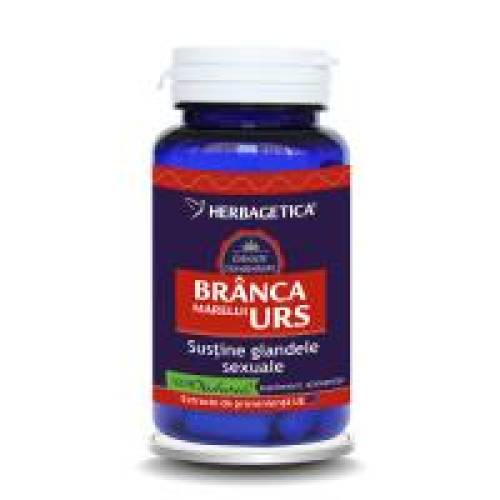 Branca marelui urs 60cps HERBAGETICA