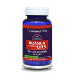 Branca marelui urs 60cps HERBAGETICA