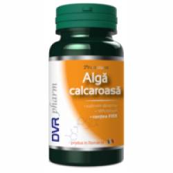 Alga calcaroasa 60cps DVR PHARM