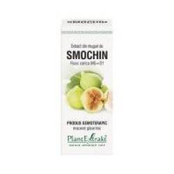 Extract din muguri de smochin - ficus carica mg=d1 50ml PLANTEXTRAKT