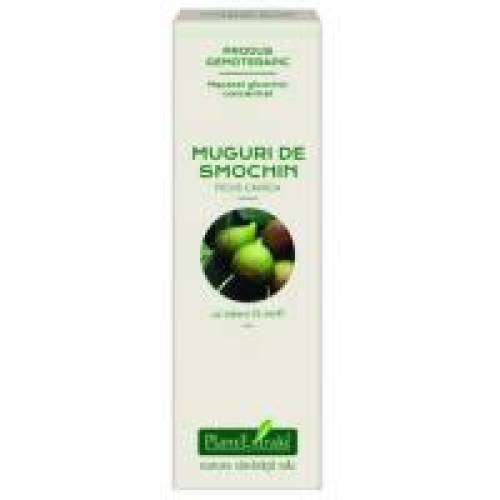 Extract concentrat din muguri de smochin - ficus carica mg 15ml PLANTEXTRAKT