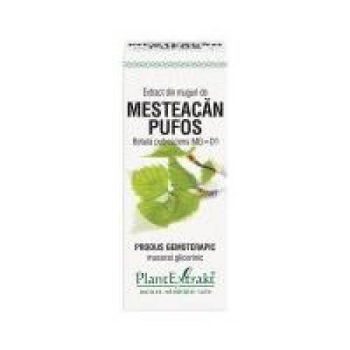 Extract din muguri de mesteacan pufos - betula pubescens mg=d1 50ml PLANTEXTRAKT
