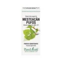 Extract din muguri de mesteacan pufos - betula pubescens mg=d1 50ml PLANTEXTRAKT